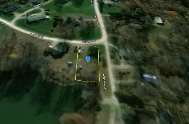 a close up of a plant in a garden