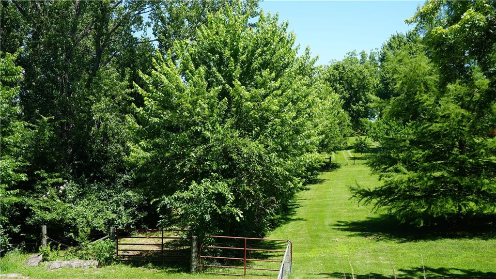 14701 Tillman Road Smithville, MO 64089 - Photo 29 of 35