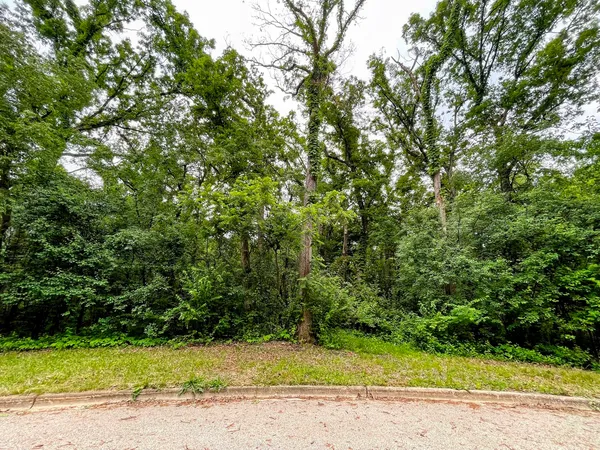 a view of a yard with a trees