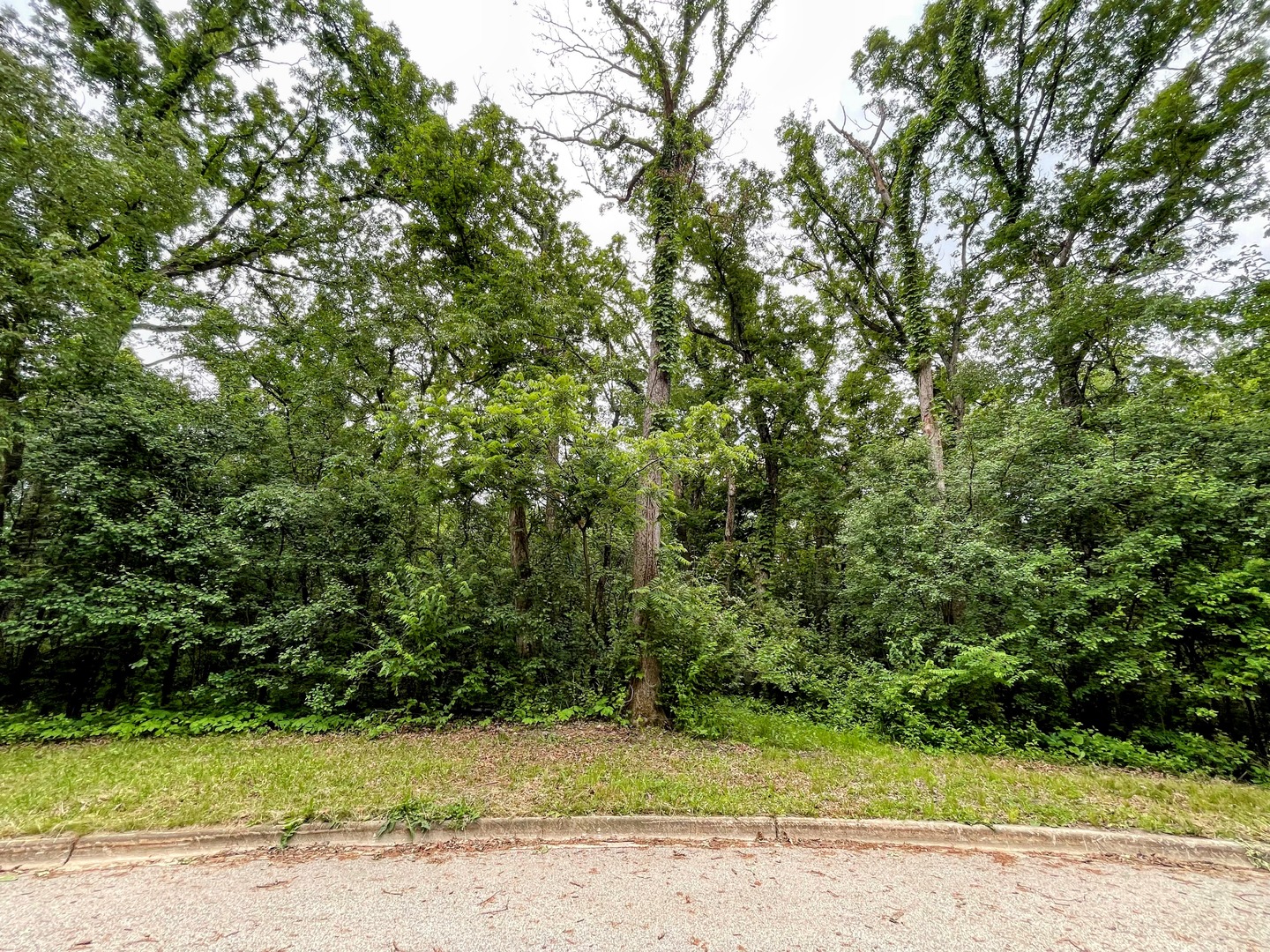 7407 Forest Oak Drive McHenry, IL 60050 - Photo 2 of 11 a view of a yard with a trees