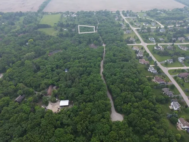 a view of a forest from a balcony