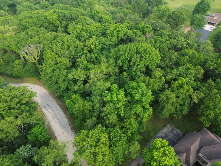 7407 Forest Oak Drive McHenry, IL 60050 - Photo 6 of 11 a view of a yard with plants and a bench