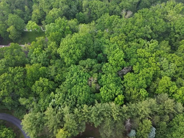 an aerial view of residential house with outdoor space and trees all around