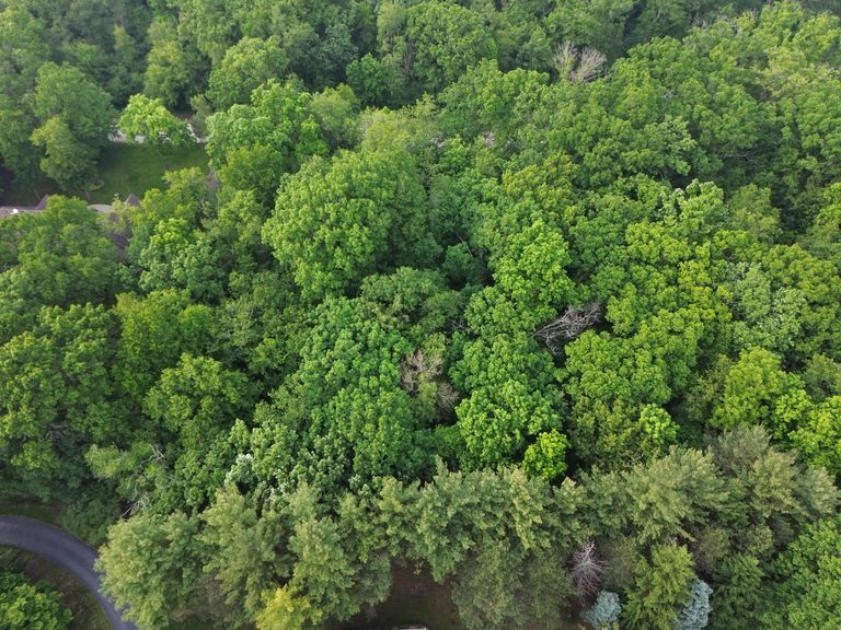 7407 Forest Oak Drive McHenry, IL 60050 - Photo 8 of 11 an aerial view of residential house with outdoor space and trees all around