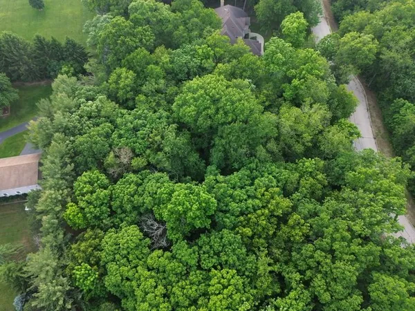 an aerial view of residential house with outdoor space and trees all around