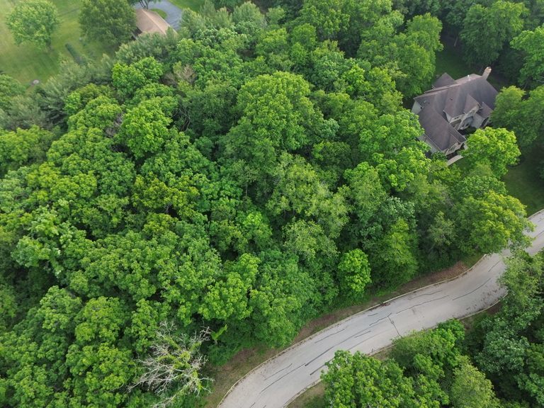 7407 Forest Oak Drive McHenry, IL 60050 - Photo 10 of 11 an outdoor space with lots of green space