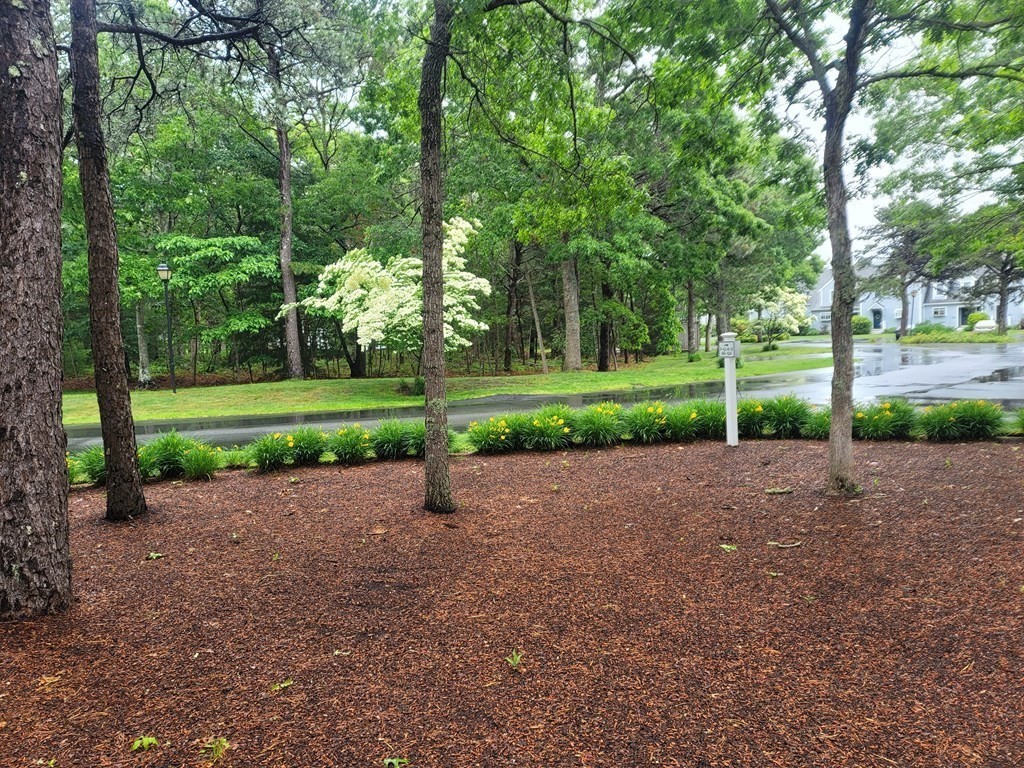 105 Shellback Way, Unit 105 Mashpee, MA 02649 - Photo 22 of 26 a view of a park and trees