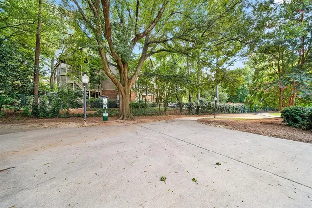 a view of backyard space