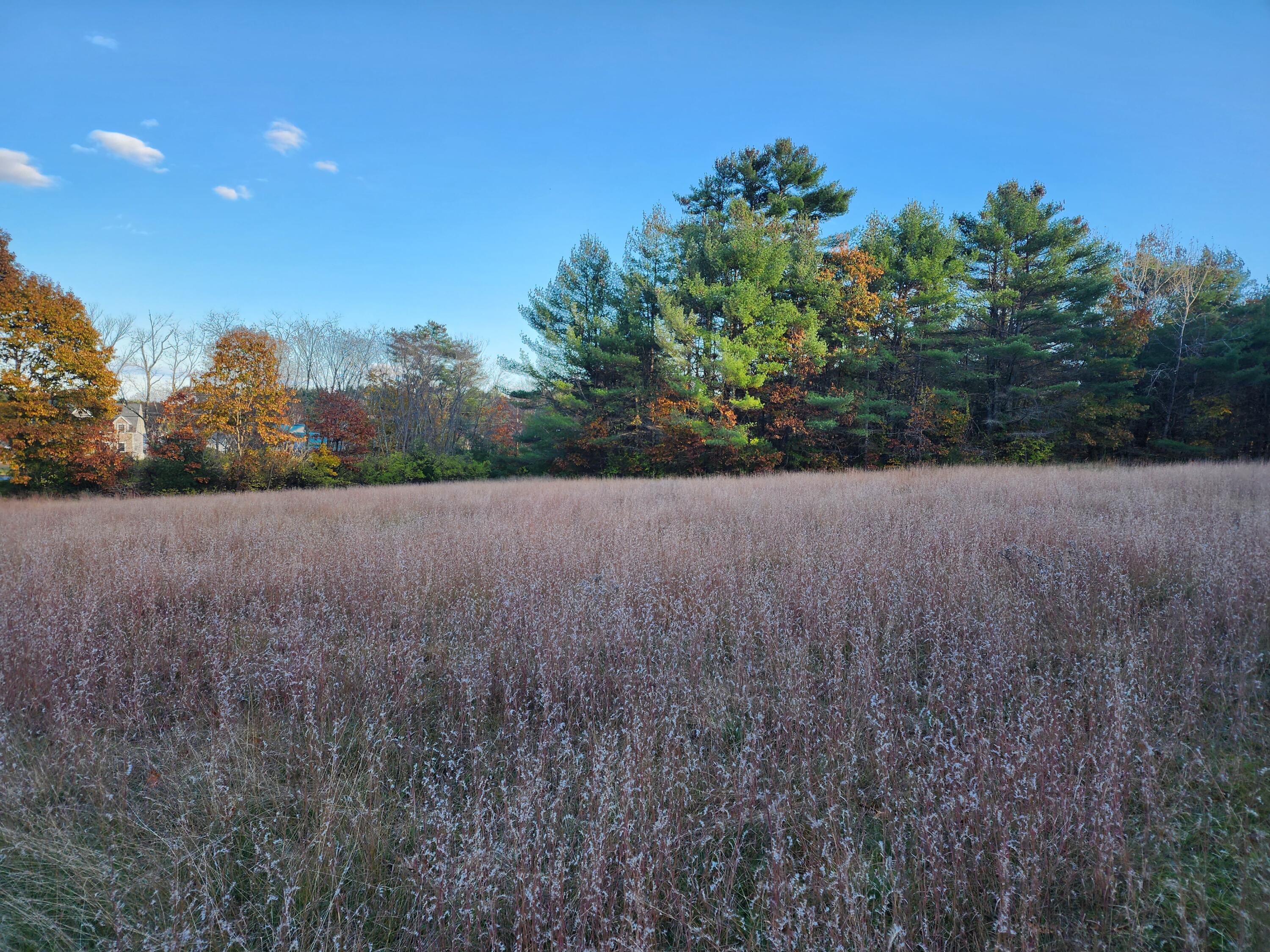 Lot 10 Raymond Cape Road Casco, ME 04015 - Photo 18 of 24 20231105_150907