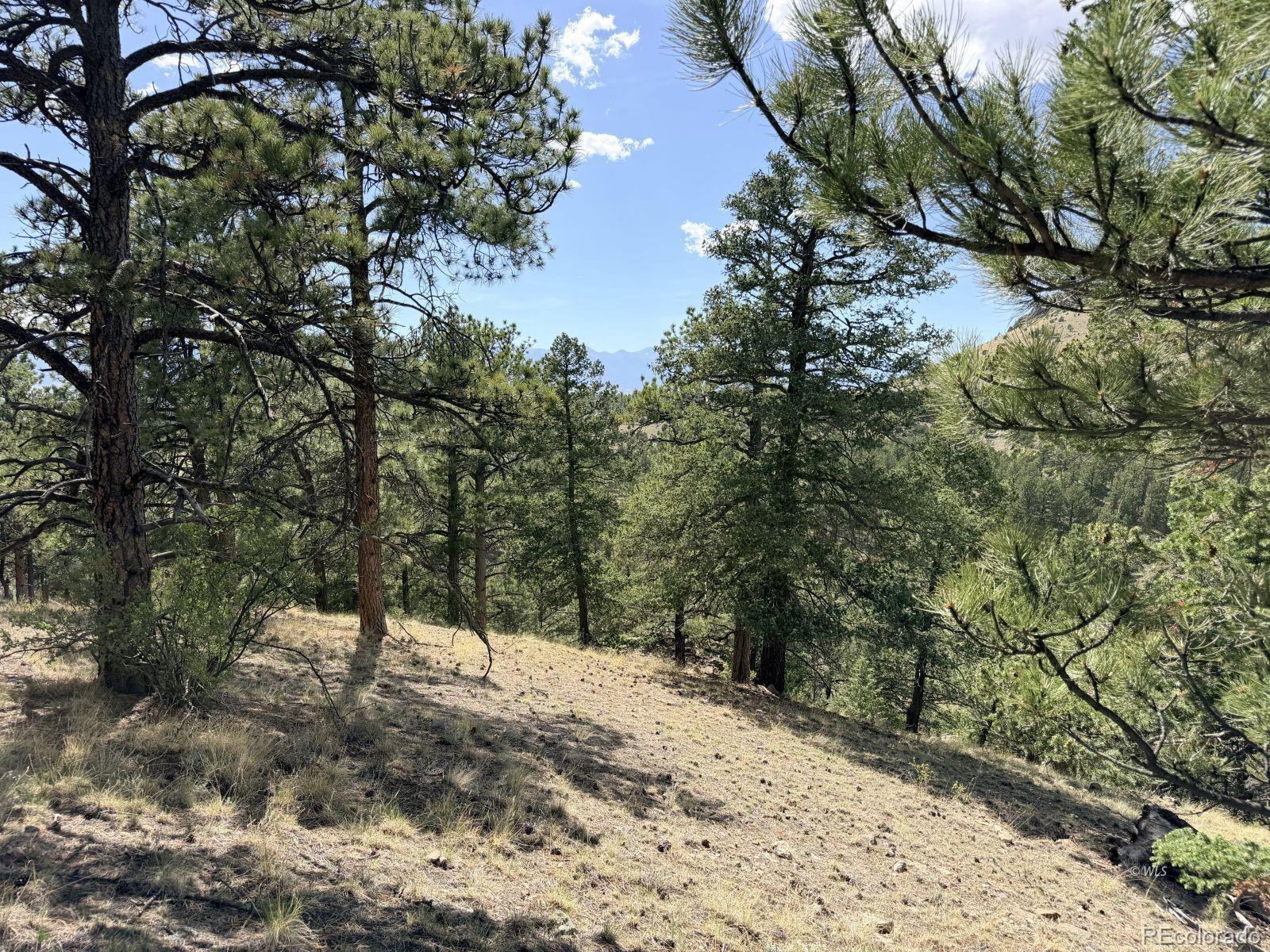 0 Schulze Ranch Road Westcliffe, CO 81252 - Photo 11 of 33