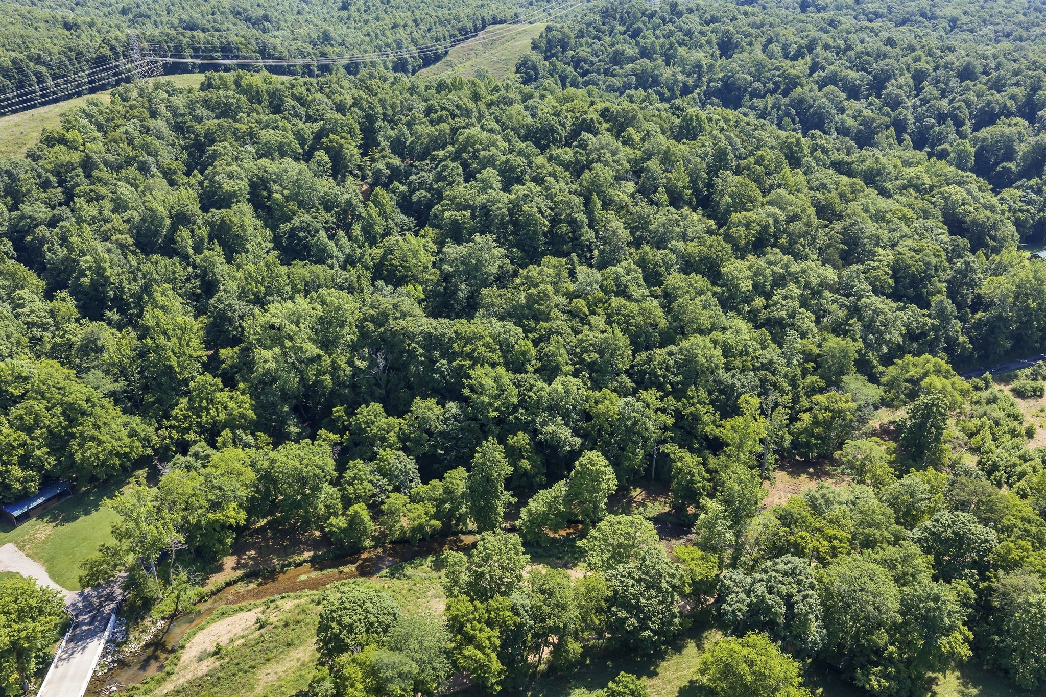 0 East Blue Creek Road McEwen, TN 37101 - Photo 11 of 17