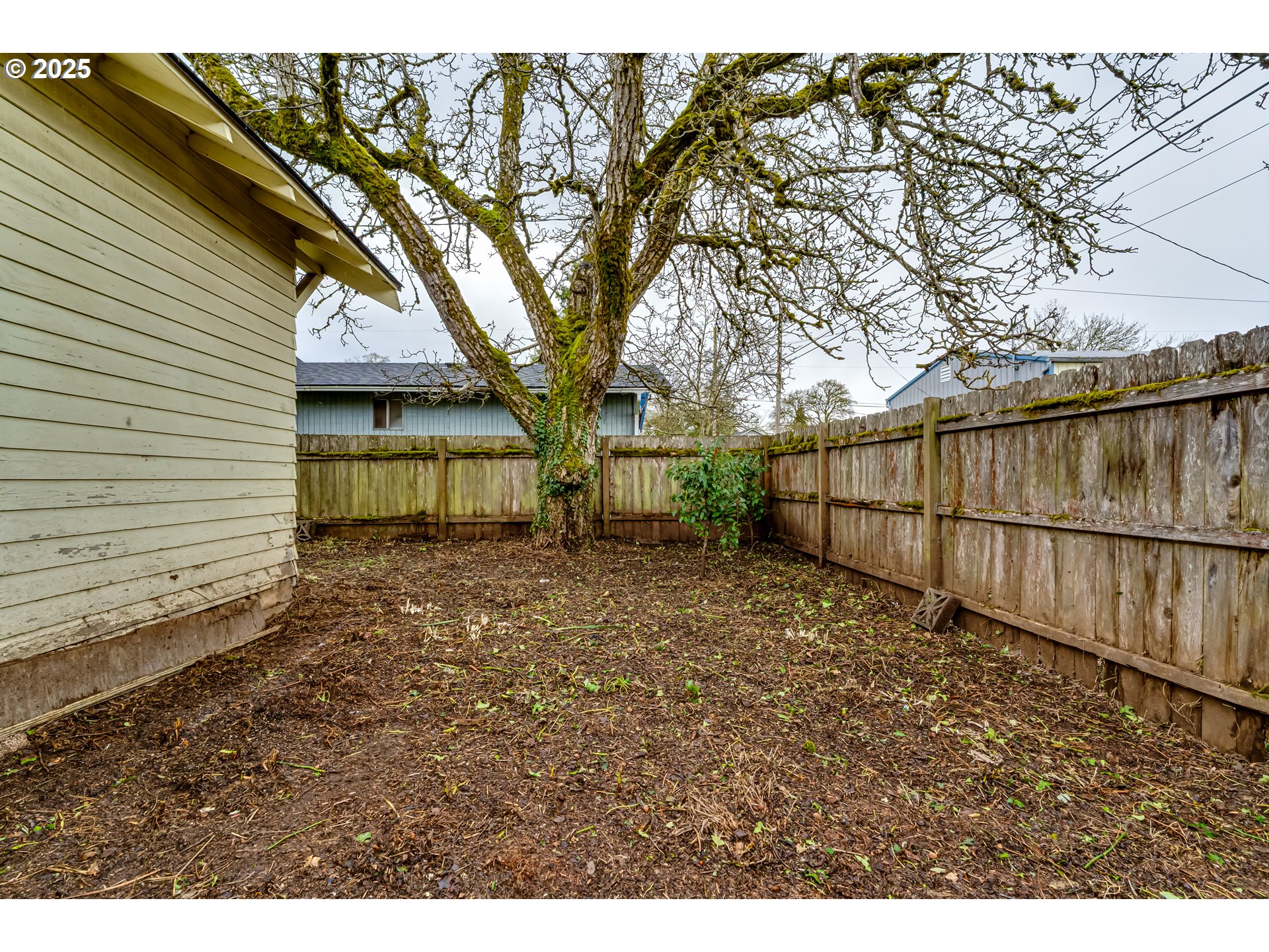 835 Maple Street Junction City, OR 97448 - Photo 28 of 29 a view of outdoor space and yard