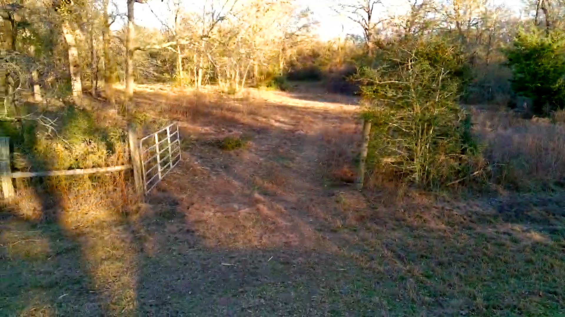 0 Derrick Road Hempstead, TX 77445 - Photo 6 of 11 a view of yard with trees
