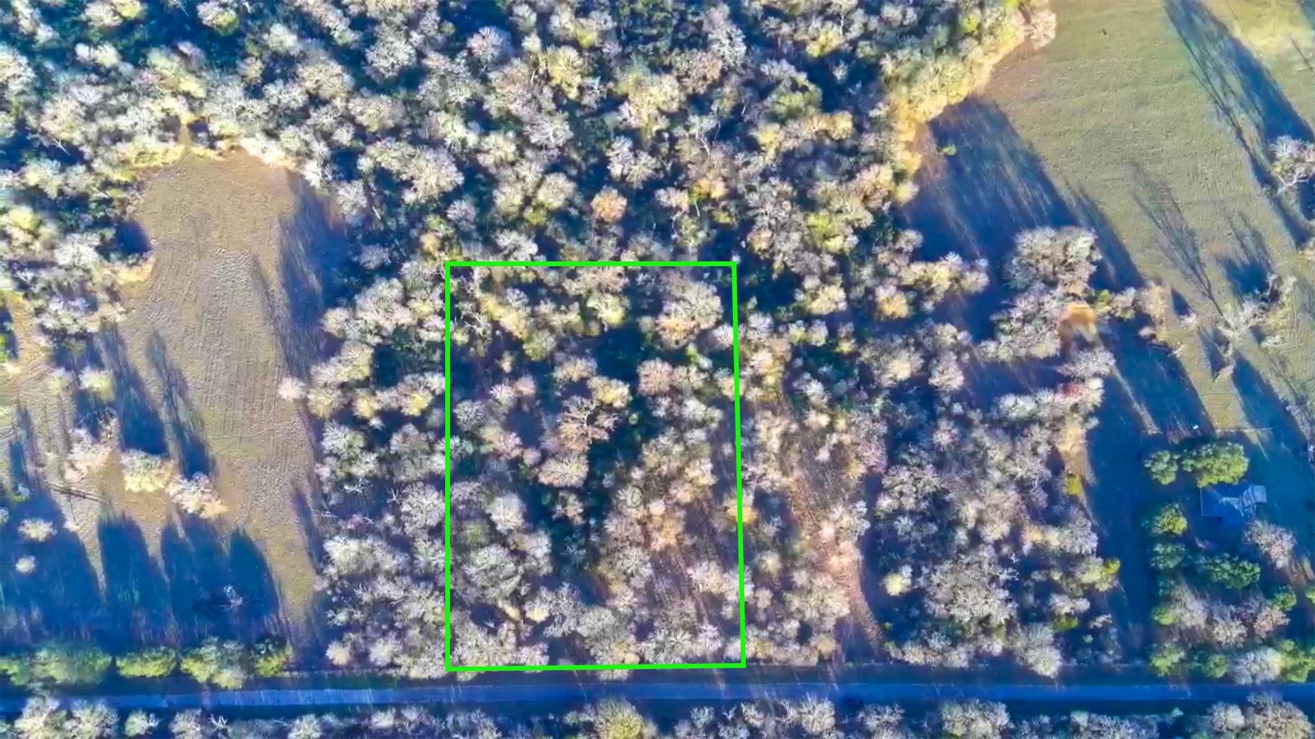 0 Derrick Road Hempstead, TX 77445 - Photo 10 of 11 a wooden floor with a tree