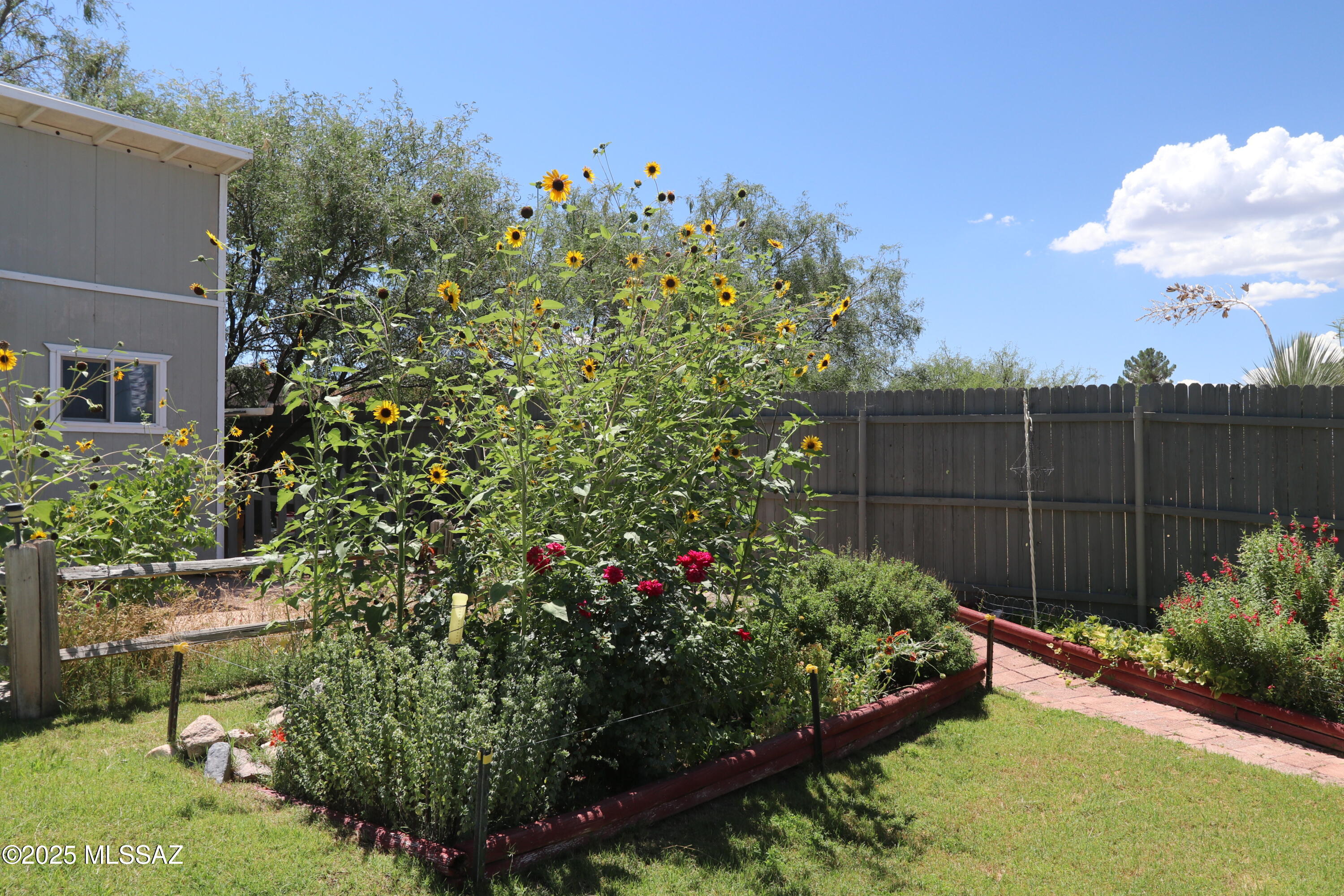 563 North Mescal Road Benson, AZ 85602 - Photo 30 of 31 Gallery Image 30