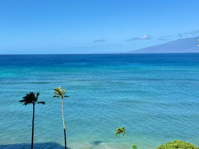 a view of a patio near a garden