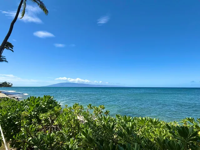 a view of a big yard with a ocean view