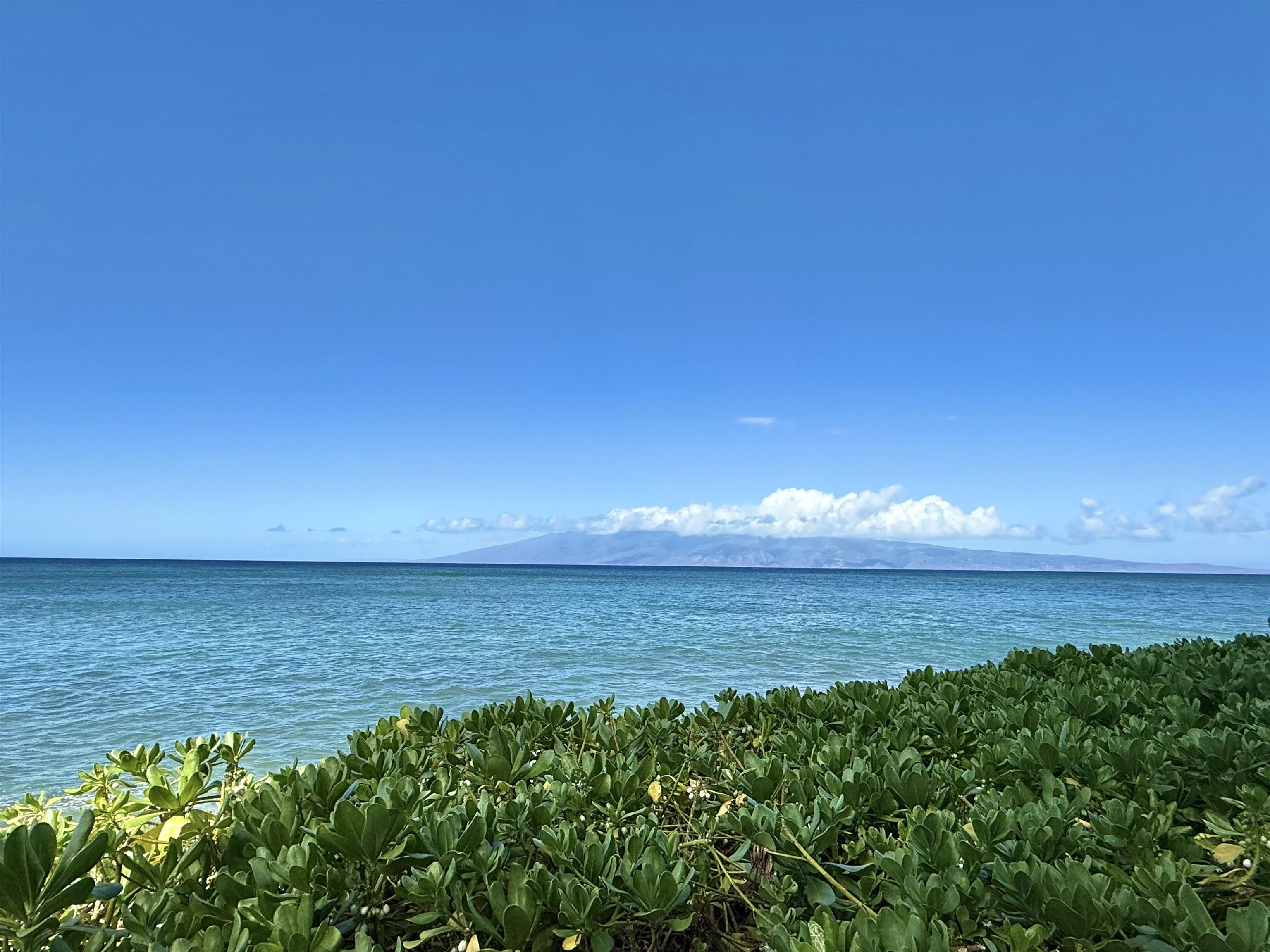 4365 Lower Honoapiilani Road, Unit 801 Lahaina, HI 96761 - Photo 23 of 24 a view of an ocean