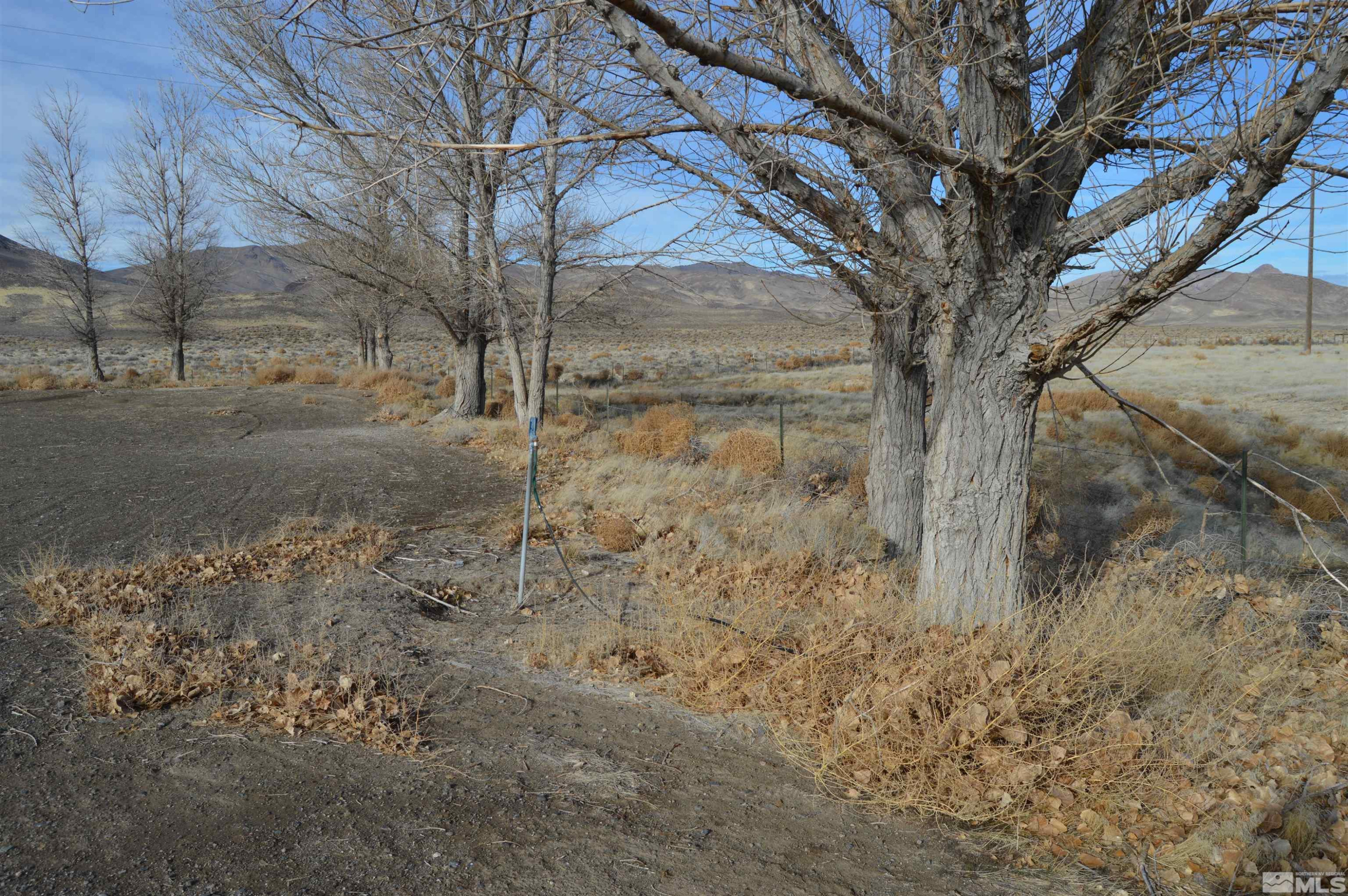 61500 State Highway 447 Reno, NV 89510 - Photo 8 of 29 Photo 8