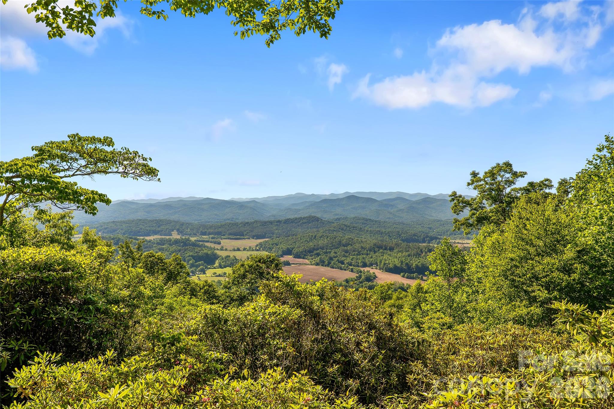 911 Green Hill Road Brevard, NC 28712 - Photo 2 of 48