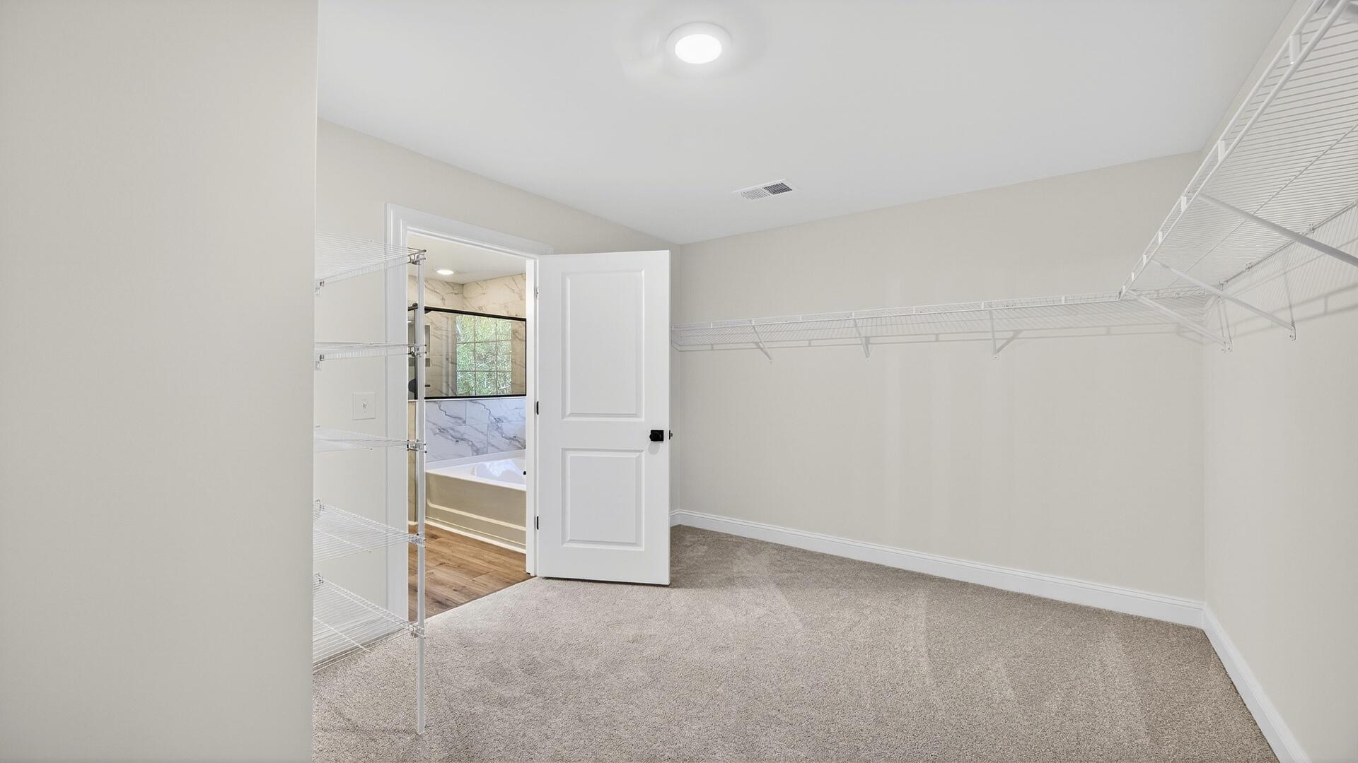 477 Cadbury Loop Summerville, SC 29486 - Photo 23 of 28 Primary Closet