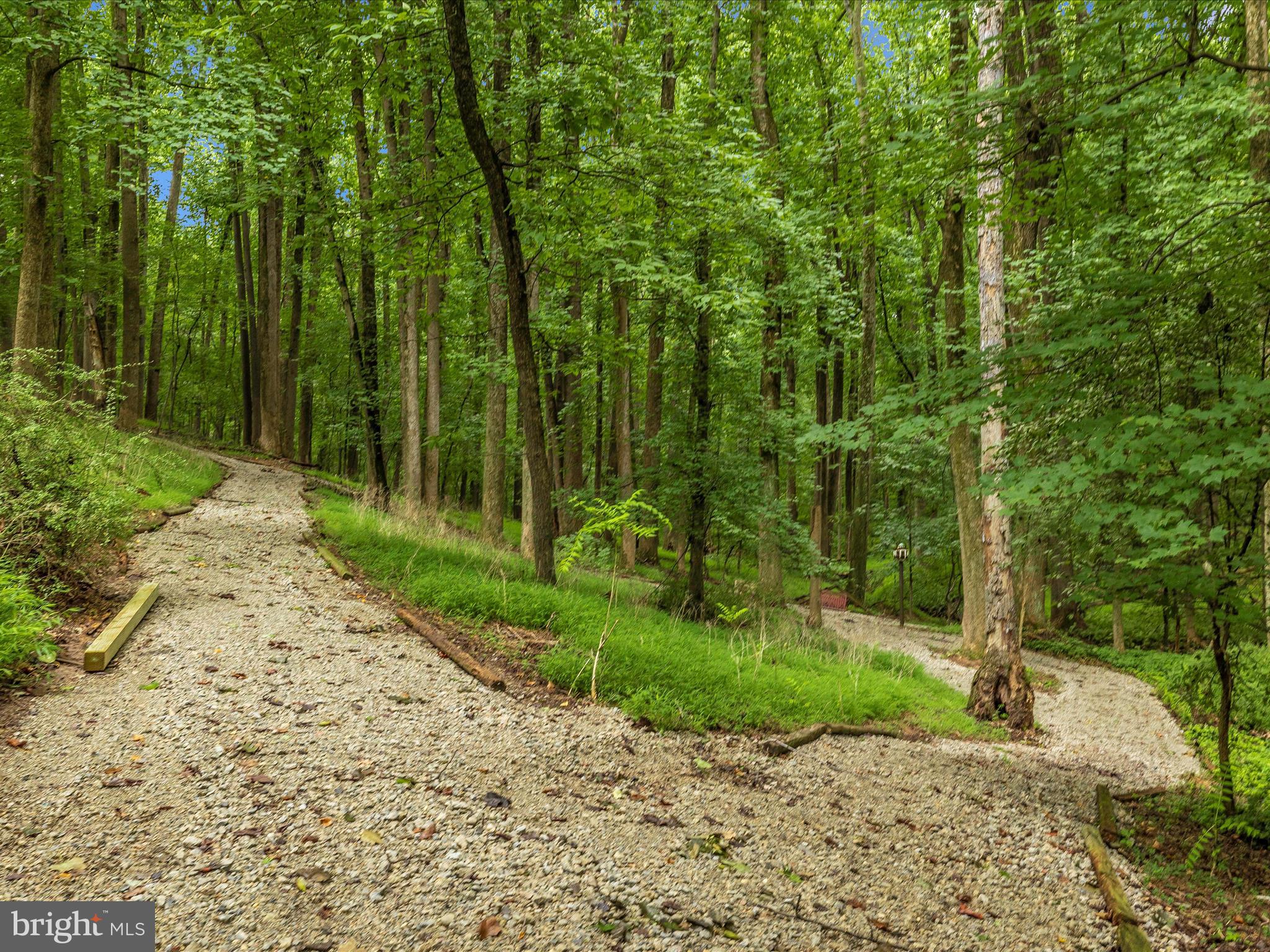 9430 Watkins Road Gaithersburg, MD 20882 - Photo 58 of 76 Trail