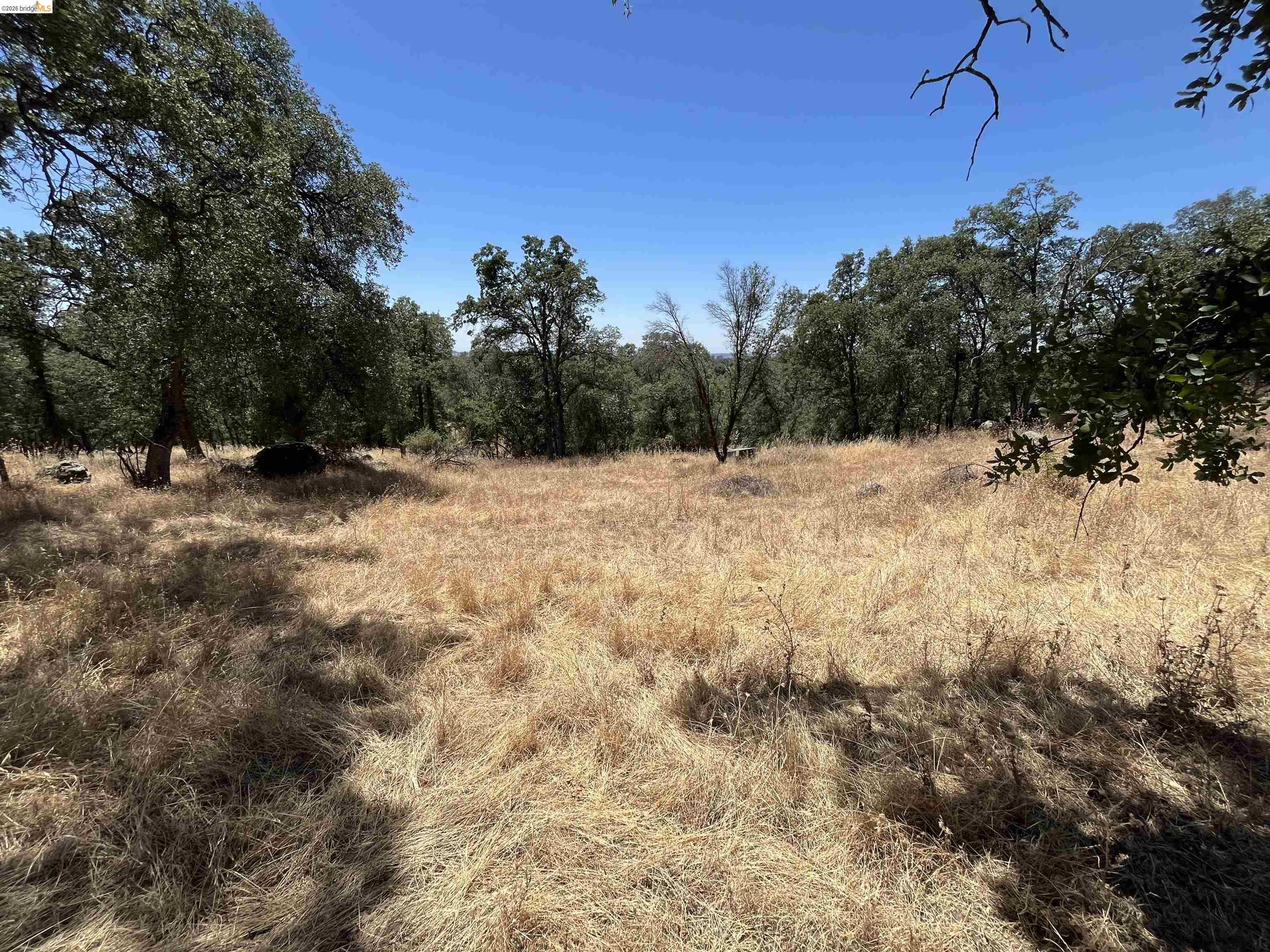 18195 Wards Ferry Road Sonora, CA 95370 - Photo 39 of 67 Expansive natural landscape featuring mature deciduous trees and a clear sky