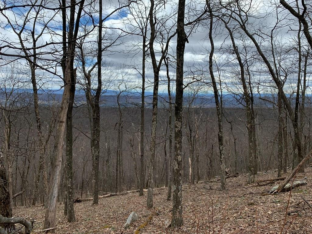 Lot 5 Monroe Mountain Road Clearville, PA 15535 - Photo 15 of 31 Gallery Image 15