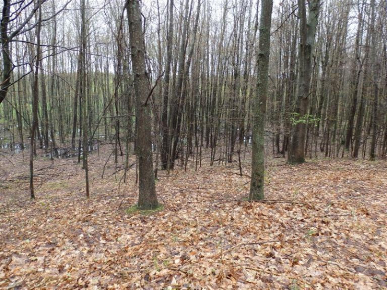 1 Puustinen Road Kaleva, MI 49645 - Photo 1 of 13 Primary Photo