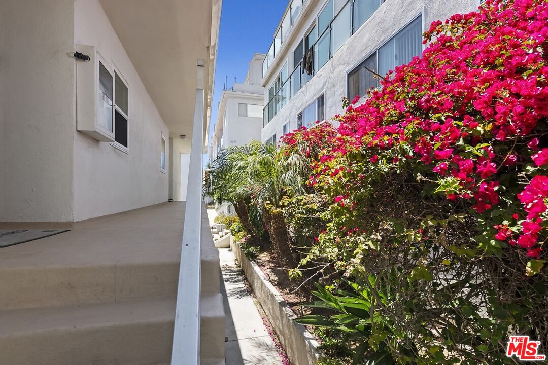18147 Coastline Drive, Unit 3 Malibu, CA 90265 - Photo 33 of 40 a picture of flowers