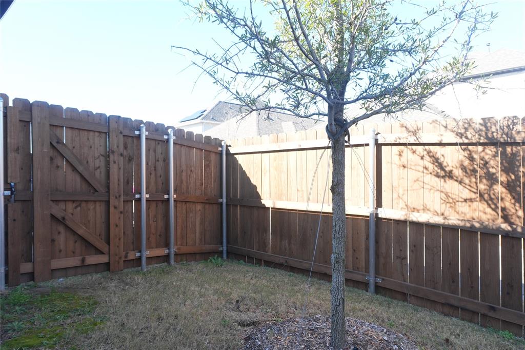 4115 Hudson Street Fate, TX 75087 - Photo 22 of 24 a view of a backyard with wooden fence and a large tree
