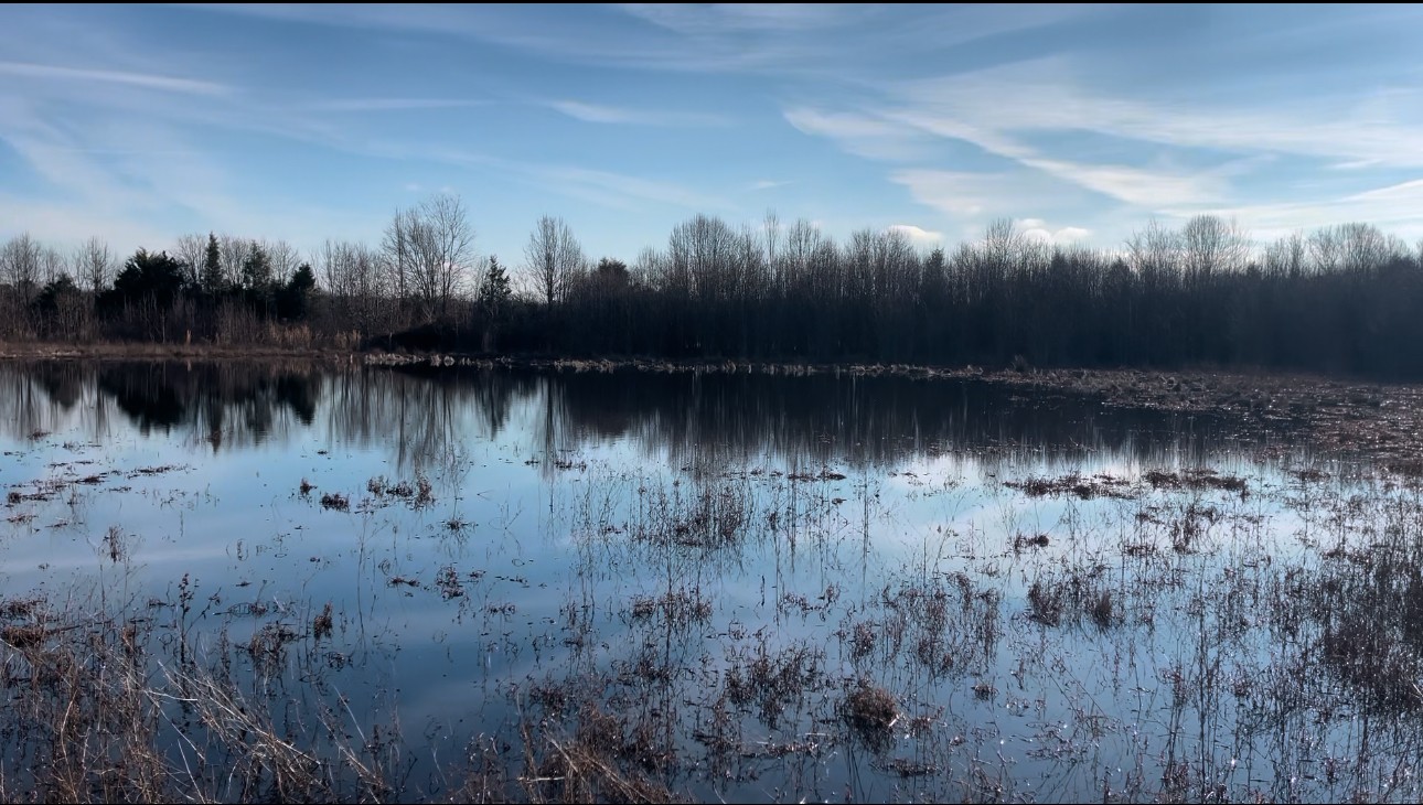 581 Rowe Gap Road Winchester, TN 37398 - Photo 23 of 24 Nice pond on the back of property. Perfect for livestock and waterfowl/deer hunting.