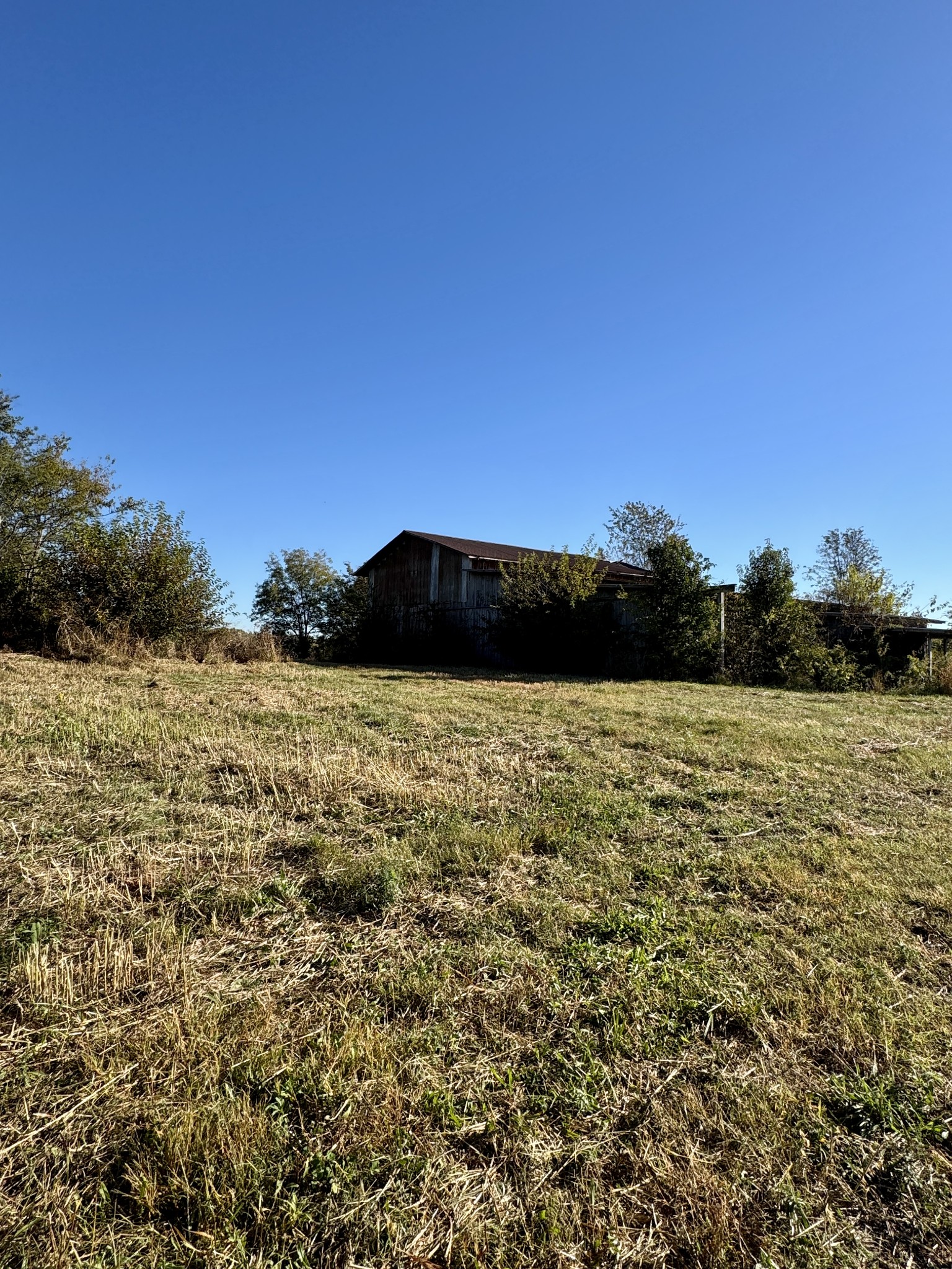 581 Rowe Gap Road Winchester, TN 37398 - Photo 9 of 24 Gallery Image 9