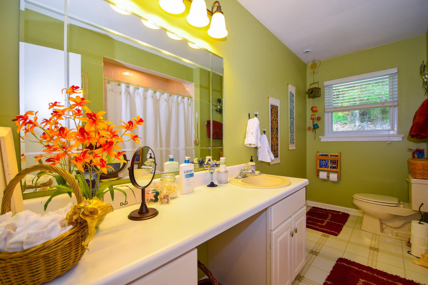 1638 Weaver Road Salem, VA 24153 - Photo 20 of 28 a bathroom with a sink mirror vanity and toilet