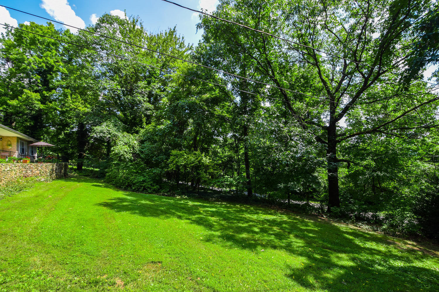 1638 Weaver Road Salem, VA 24153 - Photo 27 of 28 a view of yard with green space