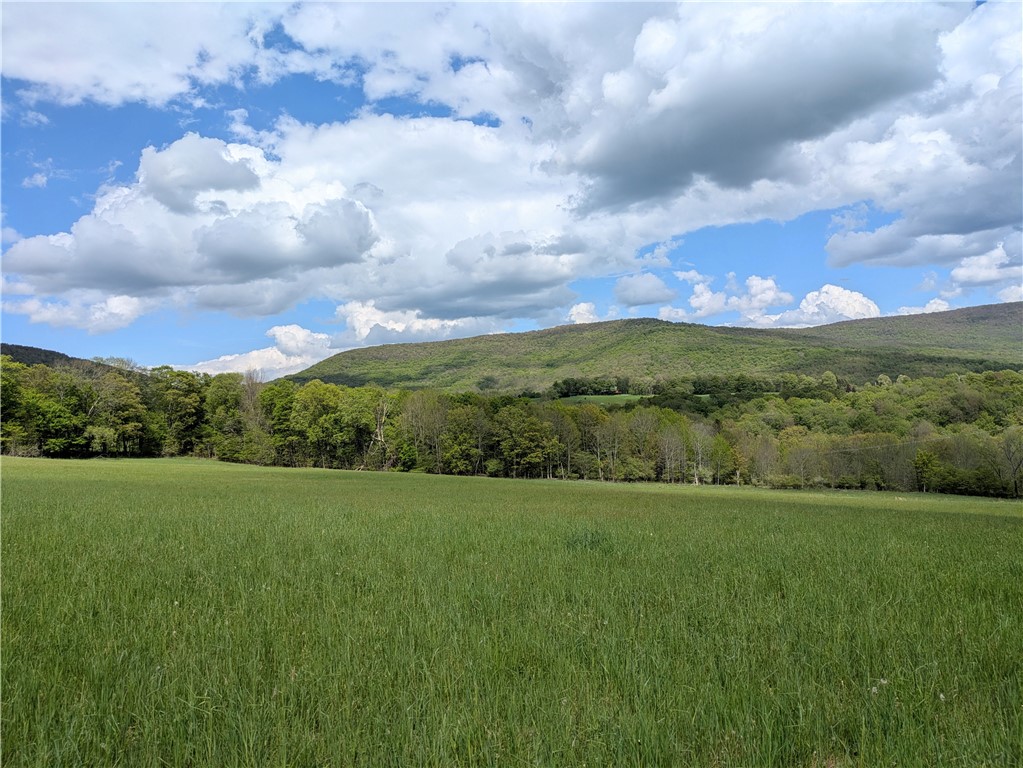 659 West Highland Road Stamford, NY 13788 - Photo 1 of 10