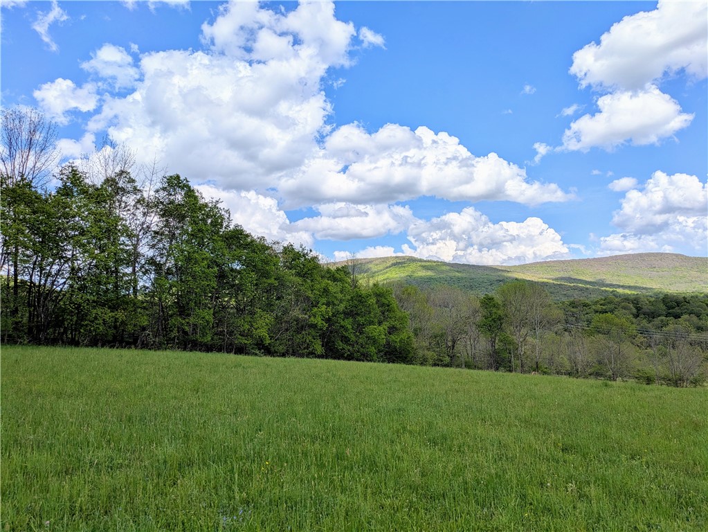 659 West Highland Road Stamford, NY 13788 - Photo 2 of 10