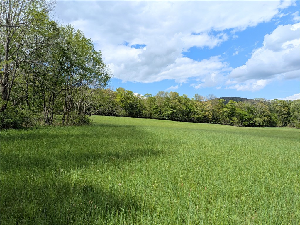 659 West Highland Road Stamford, NY 13788 - Photo 3 of 10