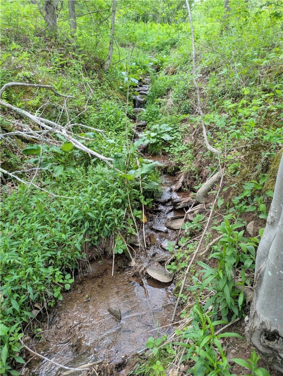 659 West Highland Road Stamford, NY 13788 - Photo 4 of 10 Stream