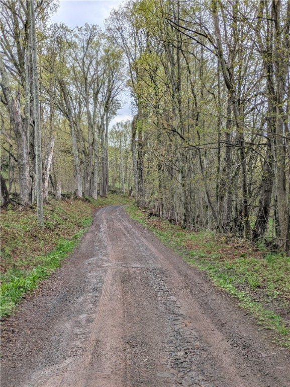 659 West Highland Road Stamford, NY 13788 - Photo 8 of 10 Road to the Property