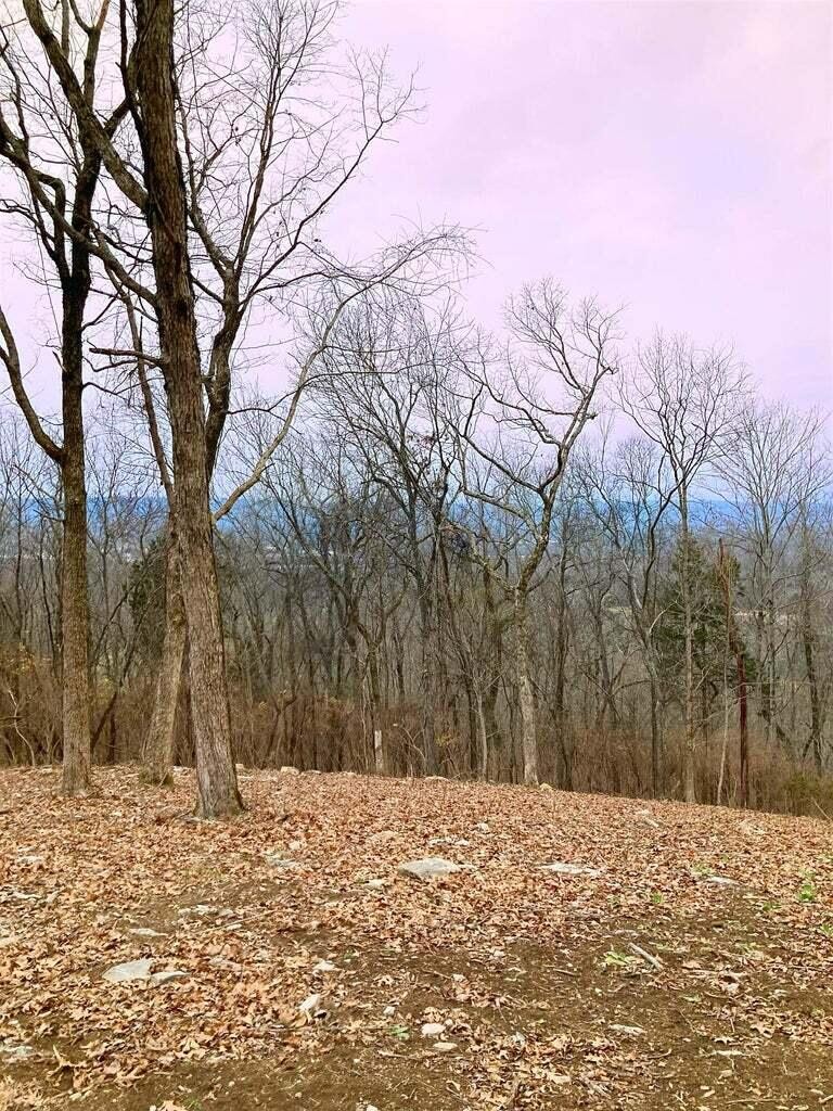 0 Gann Store Road Hixson, TN 37343 - Photo 1 of 5 Gallery Image 1