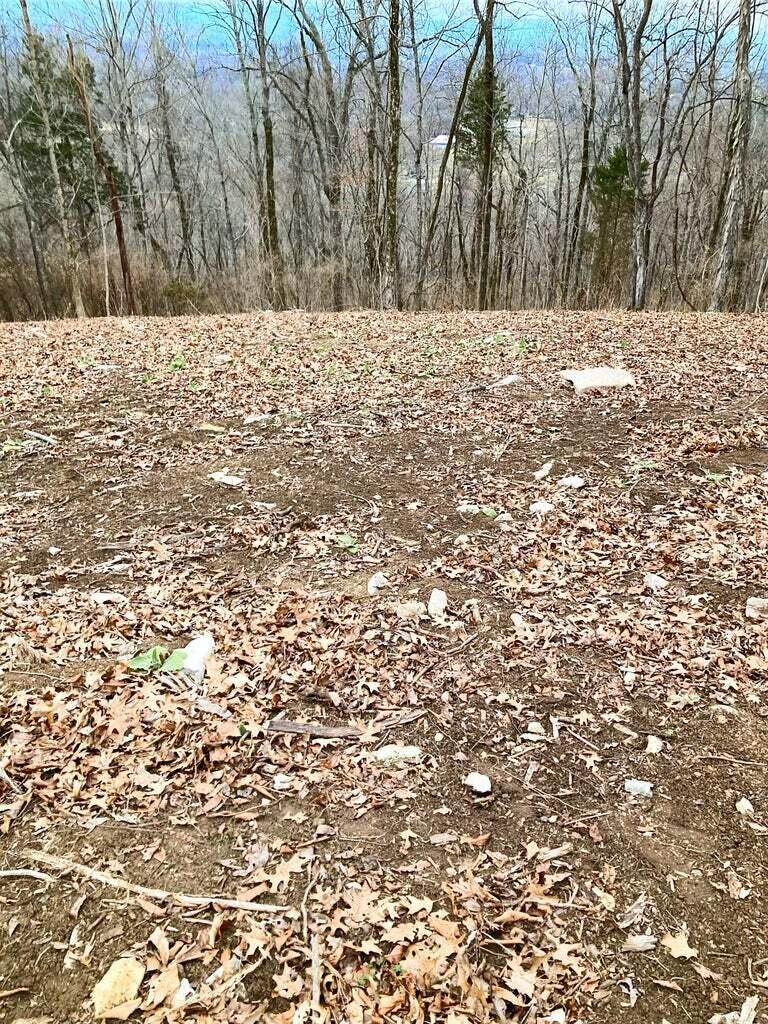 0 Gann Store Road Hixson, TN 37343 - Photo 2 of 5 Gallery Image 2