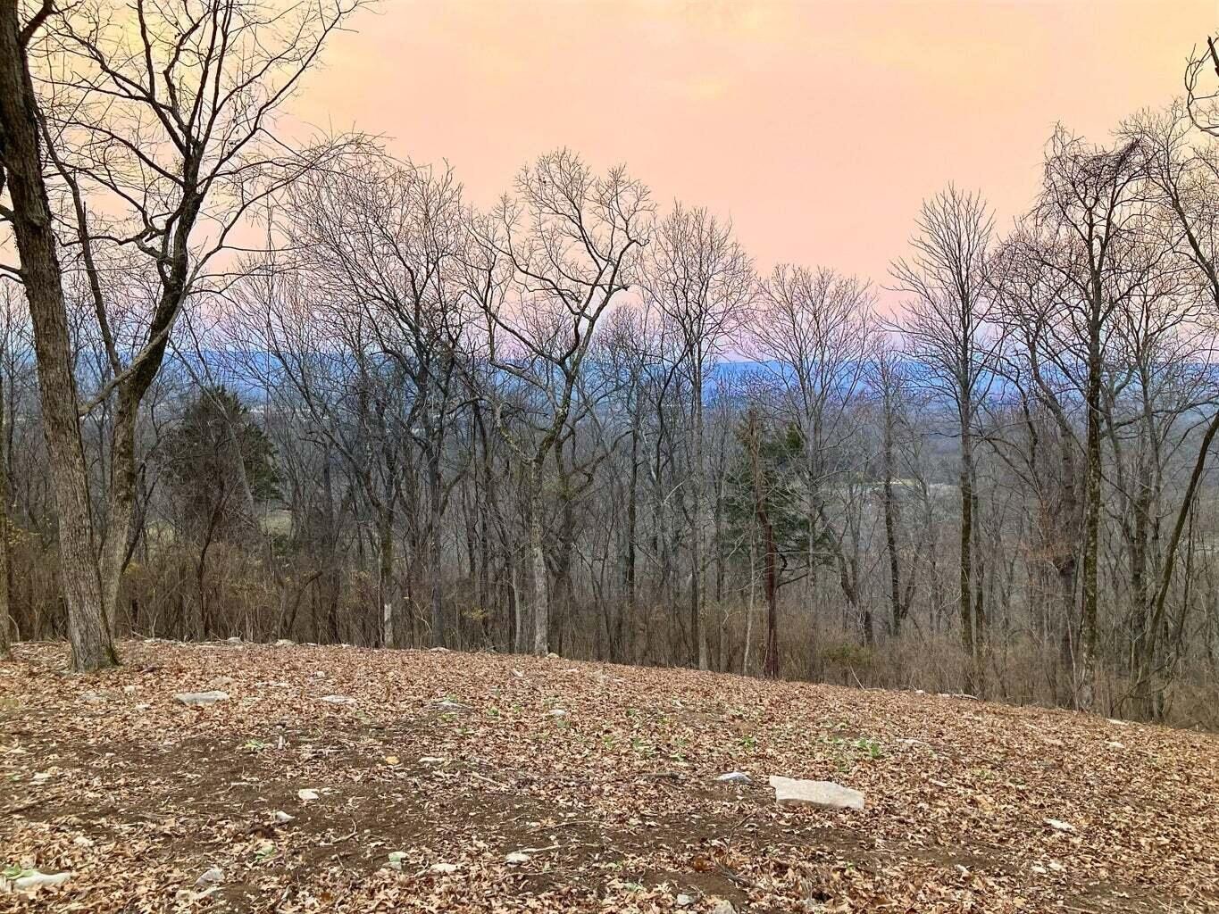 0 Gann Store Road Hixson, TN 37343 - Photo 3 of 5 Gallery Image 3