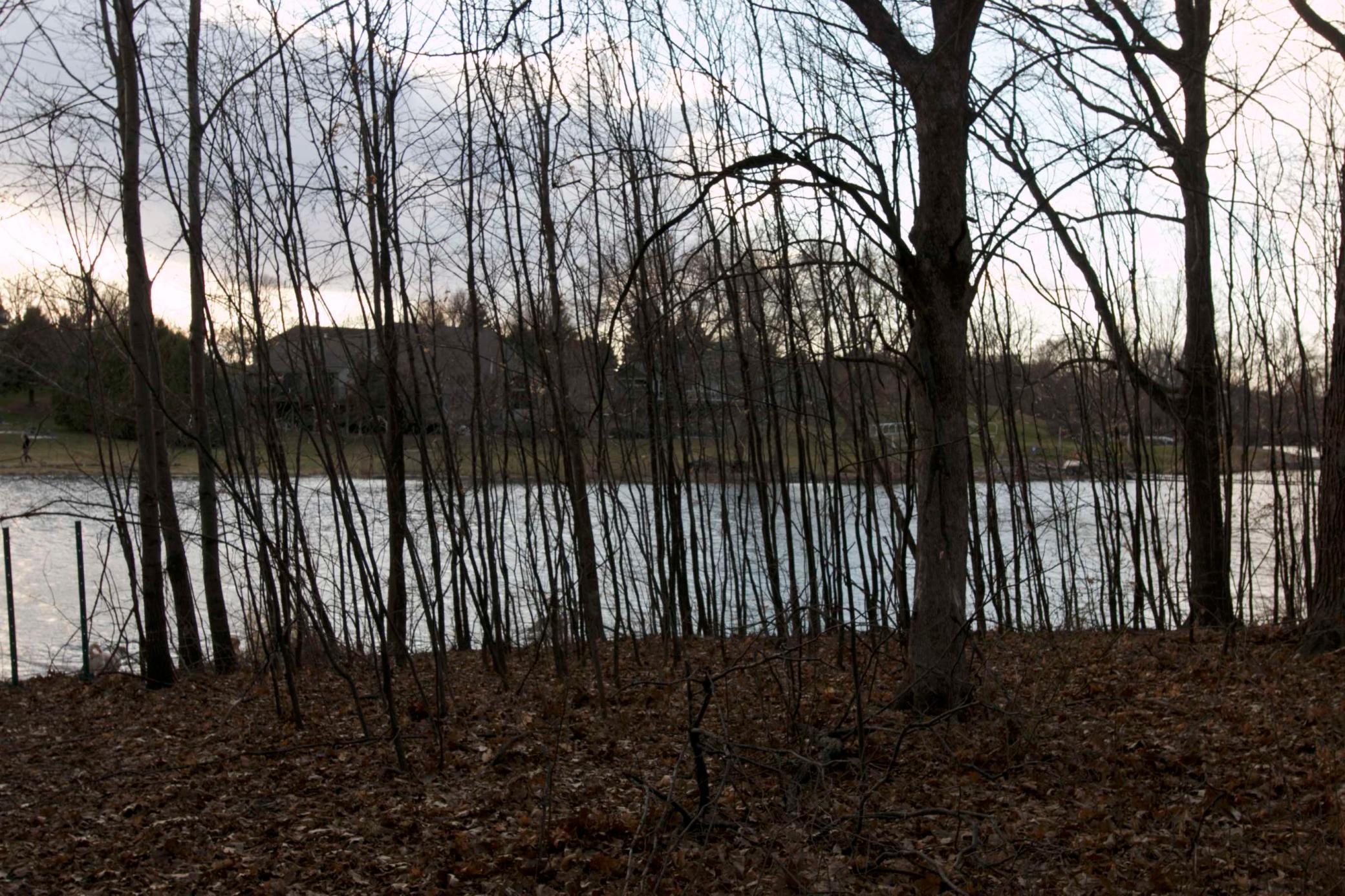 981 Peninsula Point Road Shakopee, MN 55379 - Photo 20 of 25