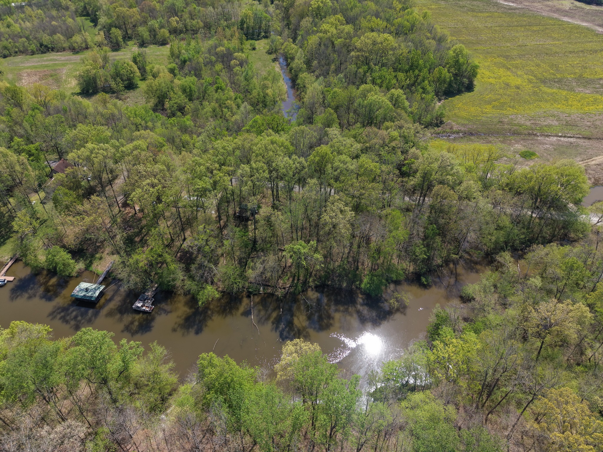 1321 Chapmansboro Road Chapmansboro, TN 37035 - Photo 11 of 12 a view of a yard next to a lake