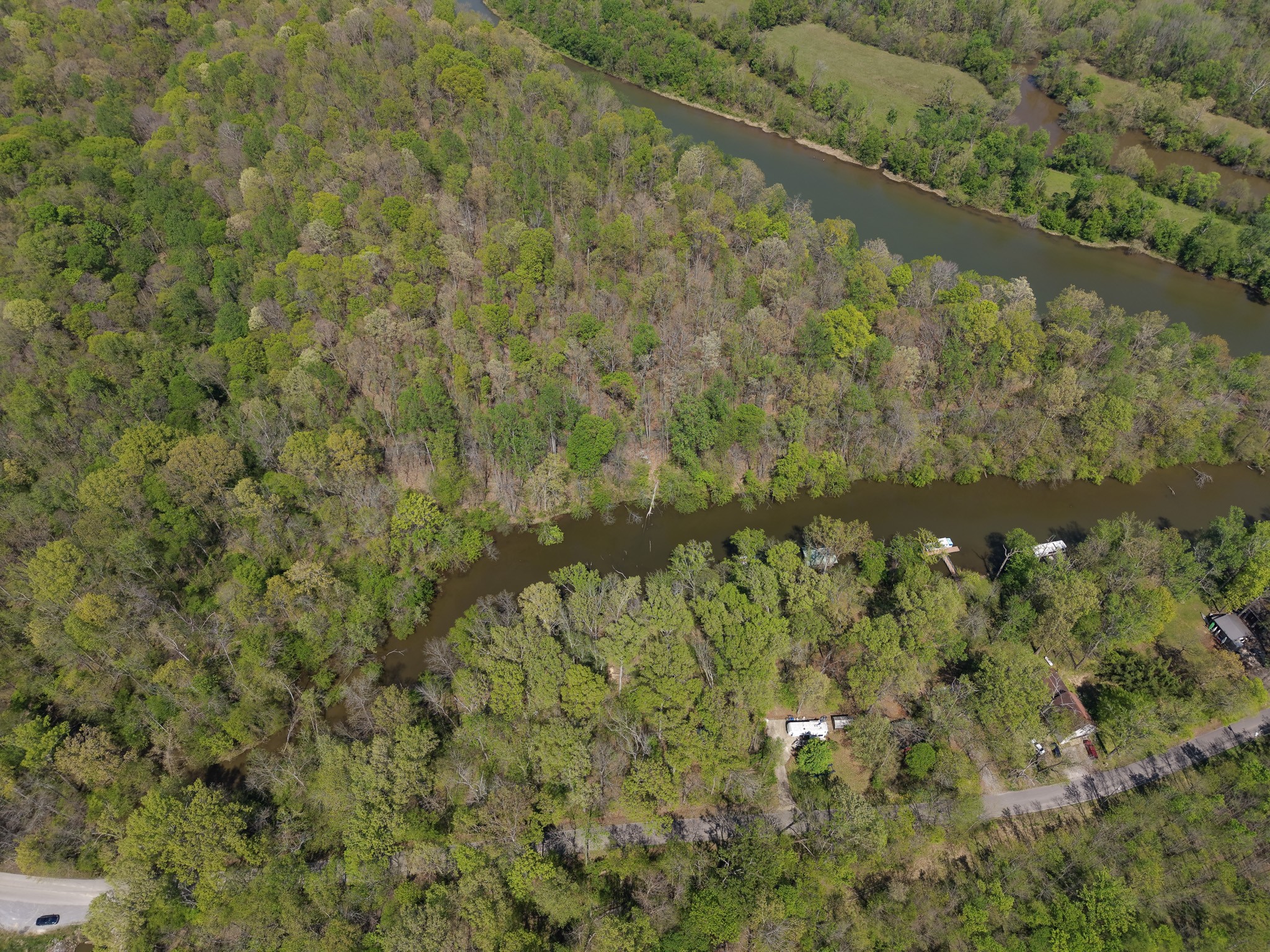 1321 Chapmansboro Road Chapmansboro, TN 37035 - Photo 12 of 12 a view of a forest with a yard