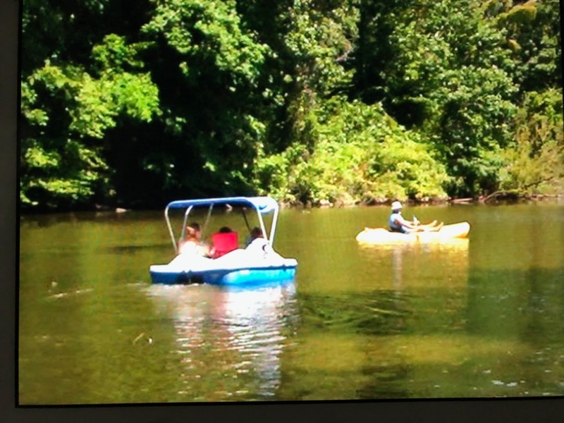 1321 Chapmansboro Road Chapmansboro, TN 37035 - Photo 4 of 7