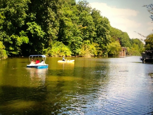 1321 Chapmansboro Road Chapmansboro, TN 37035 - Photo 6 of 7