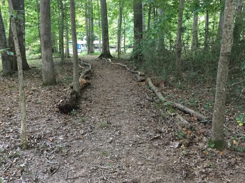 1321 Chapmansboro Road Chapmansboro, TN 37035 - Photo 7 of 7