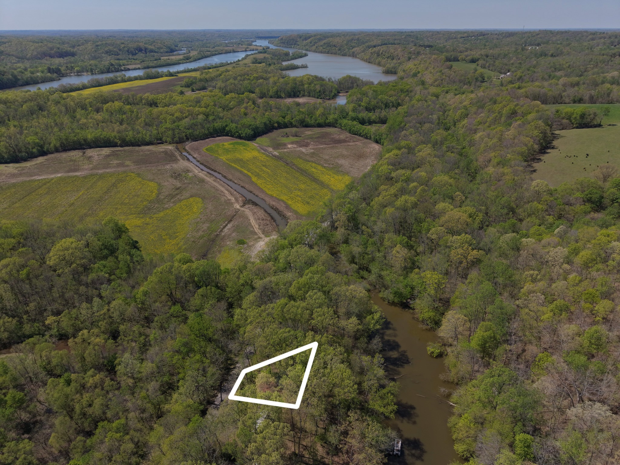 1321 Chapmansboro Road Chapmansboro, TN 37035 - Photo 8 of 12 an aerial view of a house with a yard